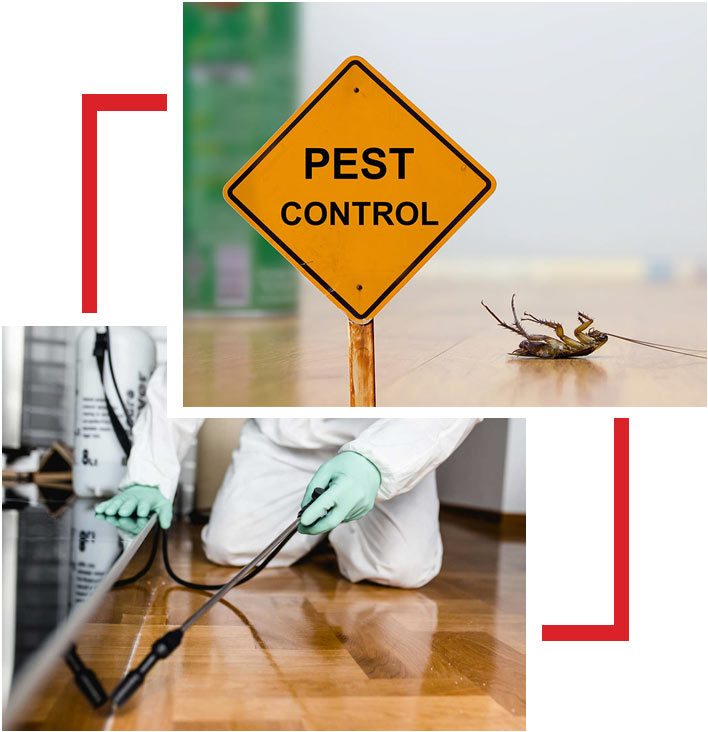 pest control